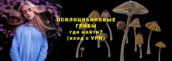 дмт Бронницы