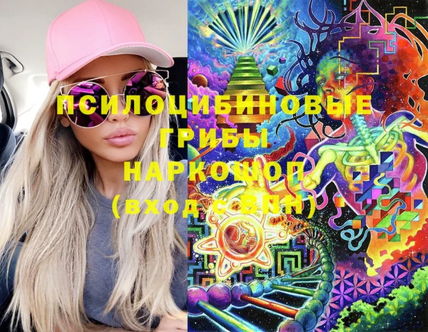 винт Богданович