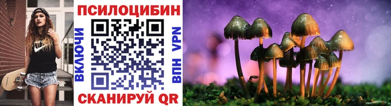 kraken tor  Волосово  Галлюциногенные грибы мицелий 