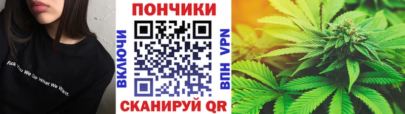Канабис SATIVA & INDICA  купить наркоту  Волосово 