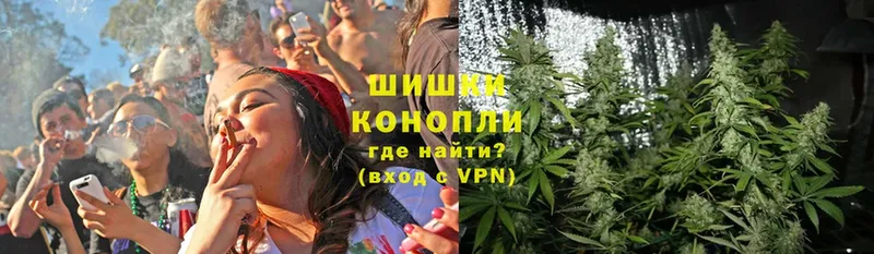 Конопля THC 21%  где можно купить наркотик  Волосово 